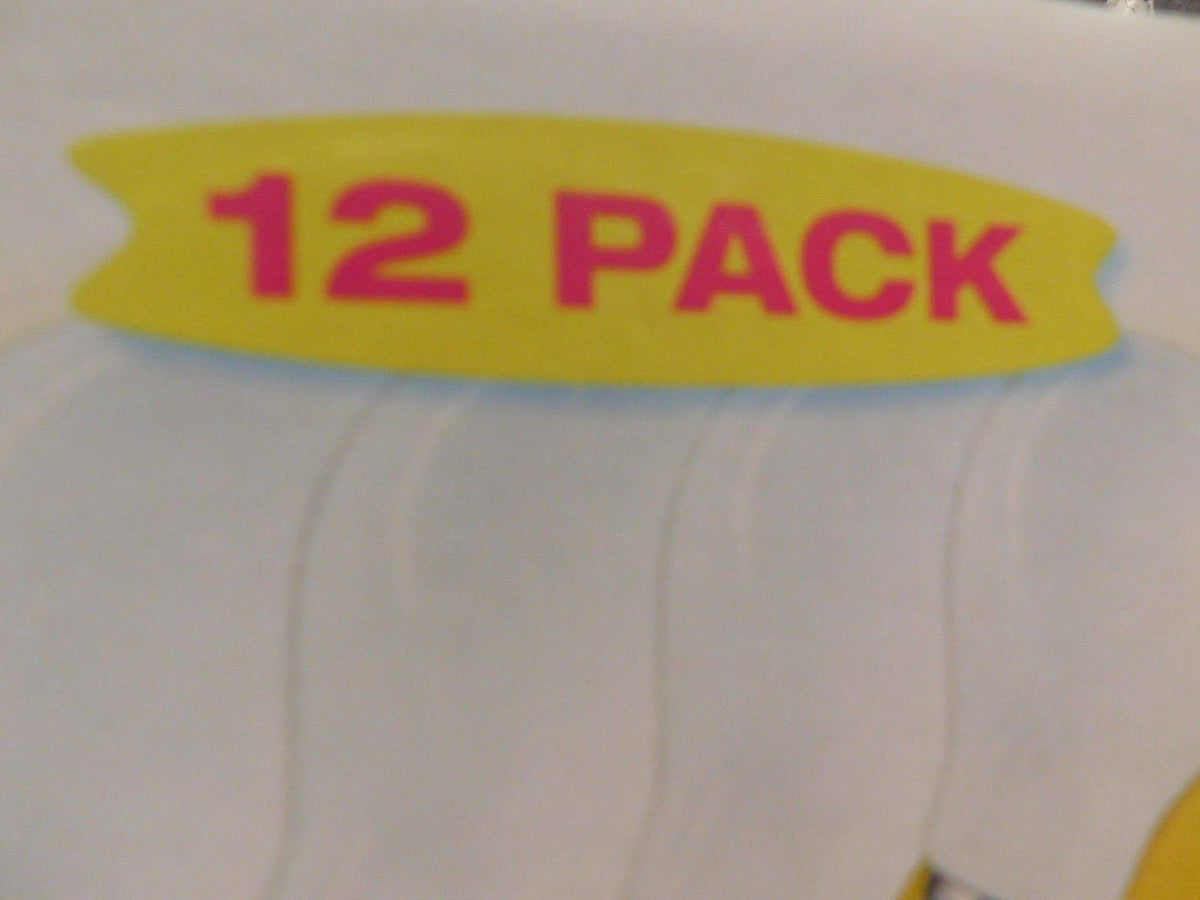 12 Pack 60 Watt Soft White A19 Incandescent Light Bulbs S563